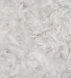 Bettdecke Arkthis, Weiß, 100% Entendaunen & 100% Baumwolle | Hochwertige Wohnaccessoires